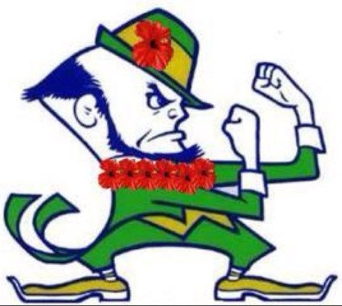 nd-lei