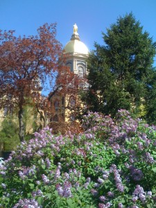 The beloved Golden Dome.