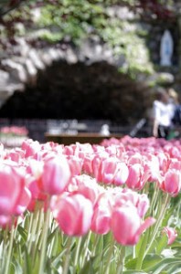 The Grotto at Notre Dame. Photo courtesy of Kathleen Souder.