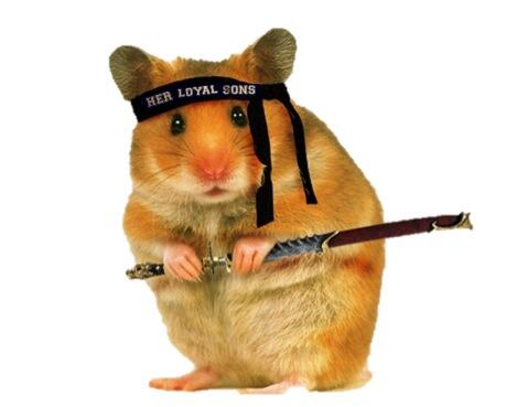 HLS Hamster