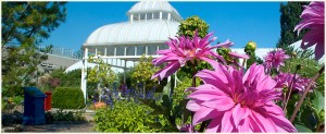 Phipps Conservatory and Botanical Gardens