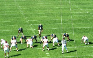 Image courtesy of Wikipedia user Tedmoseby