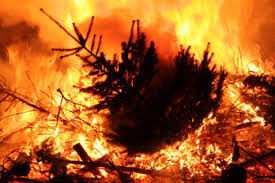 HLS EFS CSC Tree Fire