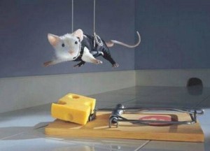 mouse-trap