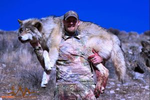 hls-efs-csc-wolf-hunter
